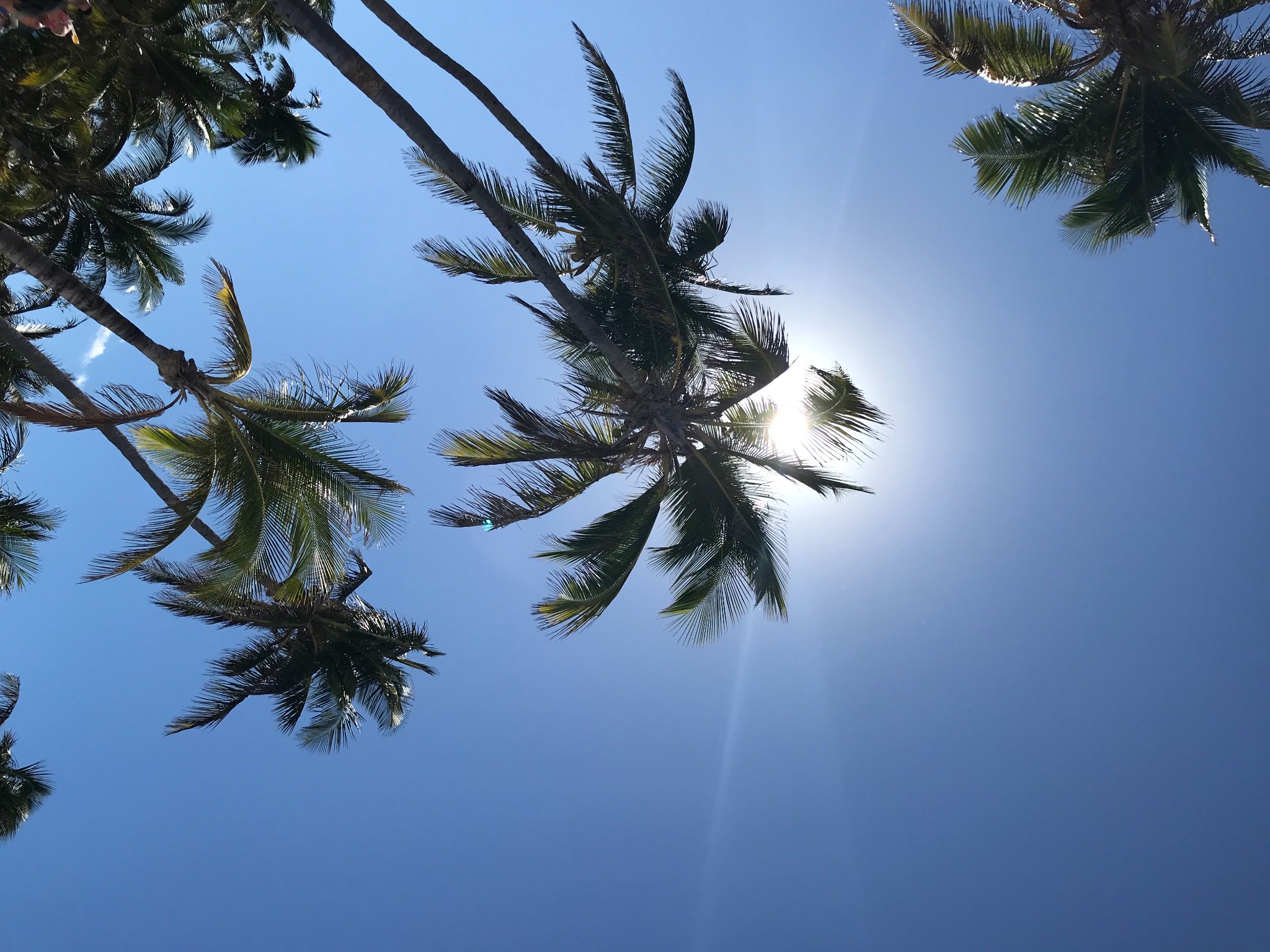 AmyMyogeto's profile banner image