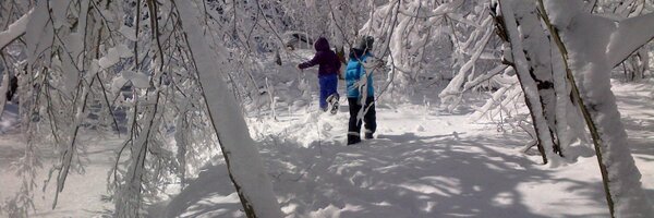 Jeff_Goodes Profile Banner