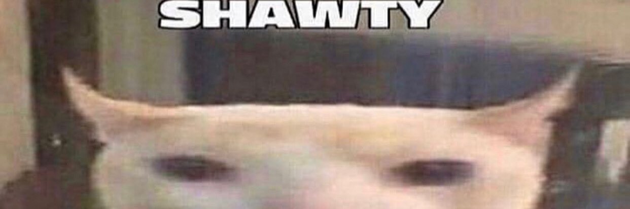squilyz's profile banner image