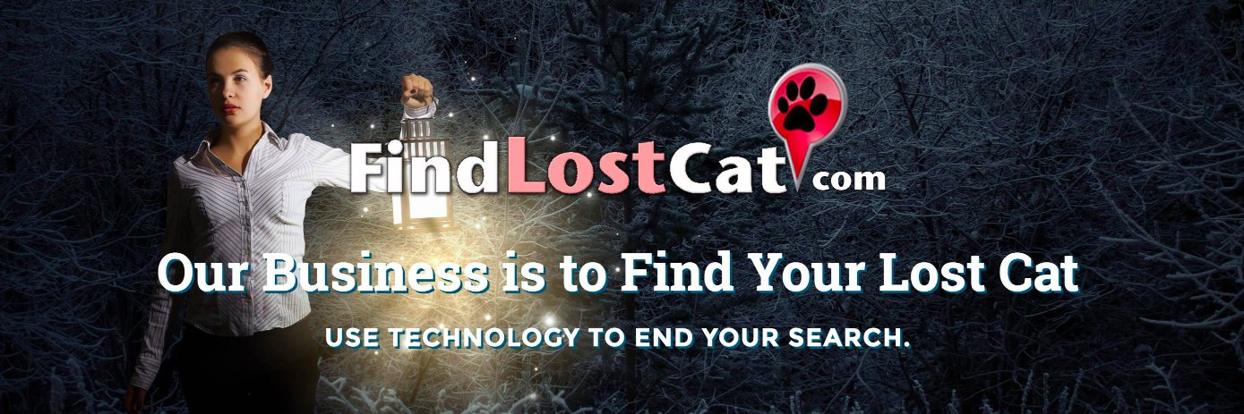 findlostcat's profile banner image