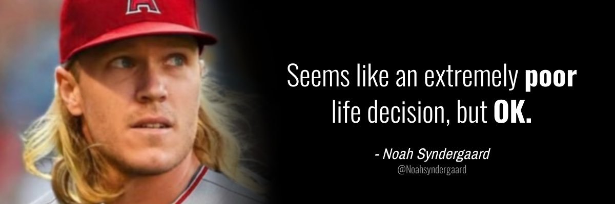 Michael Nelson Stout banner