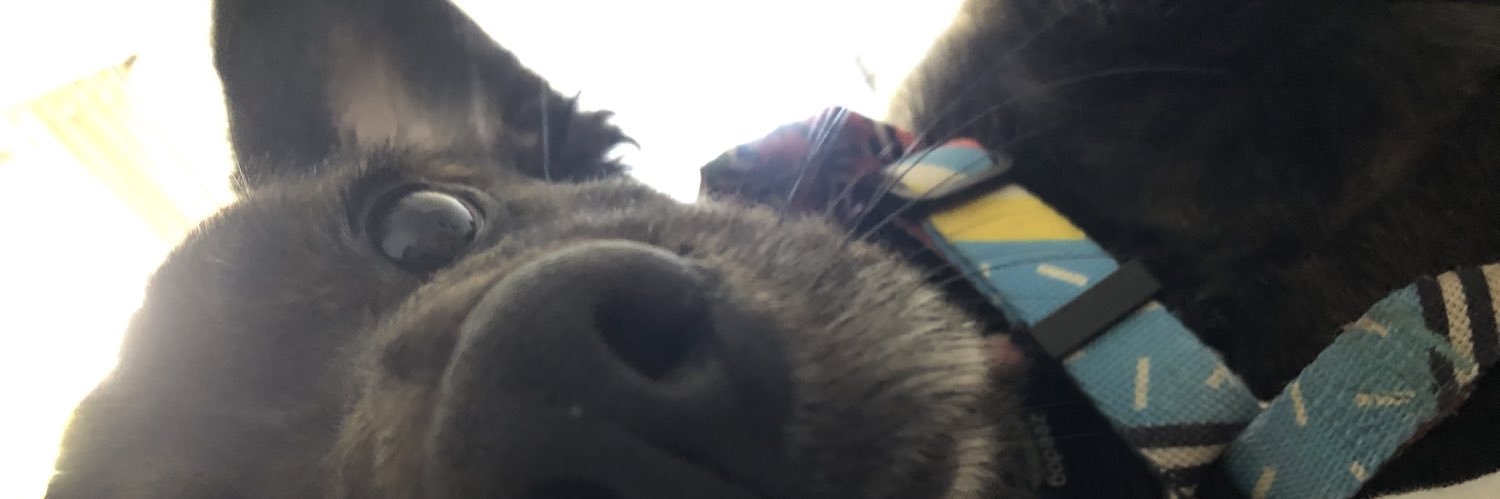 belfabri's profile banner image
