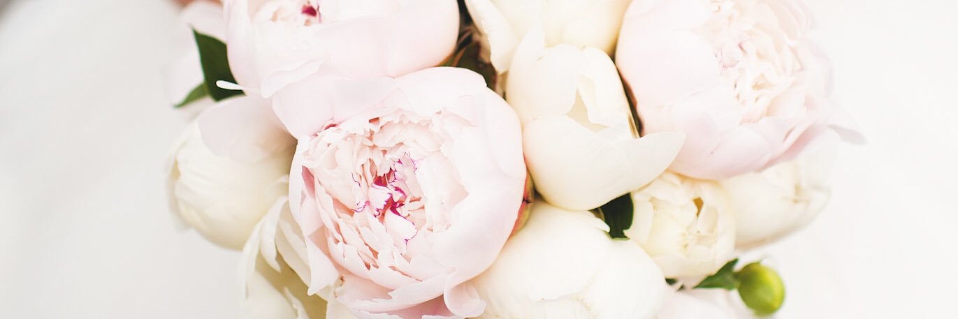 LessardMelissa's profile banner image