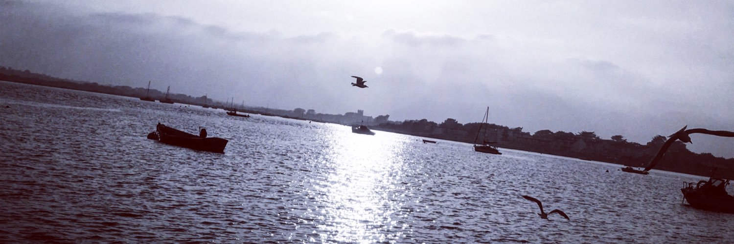 RickiHarrison_'s profile banner image