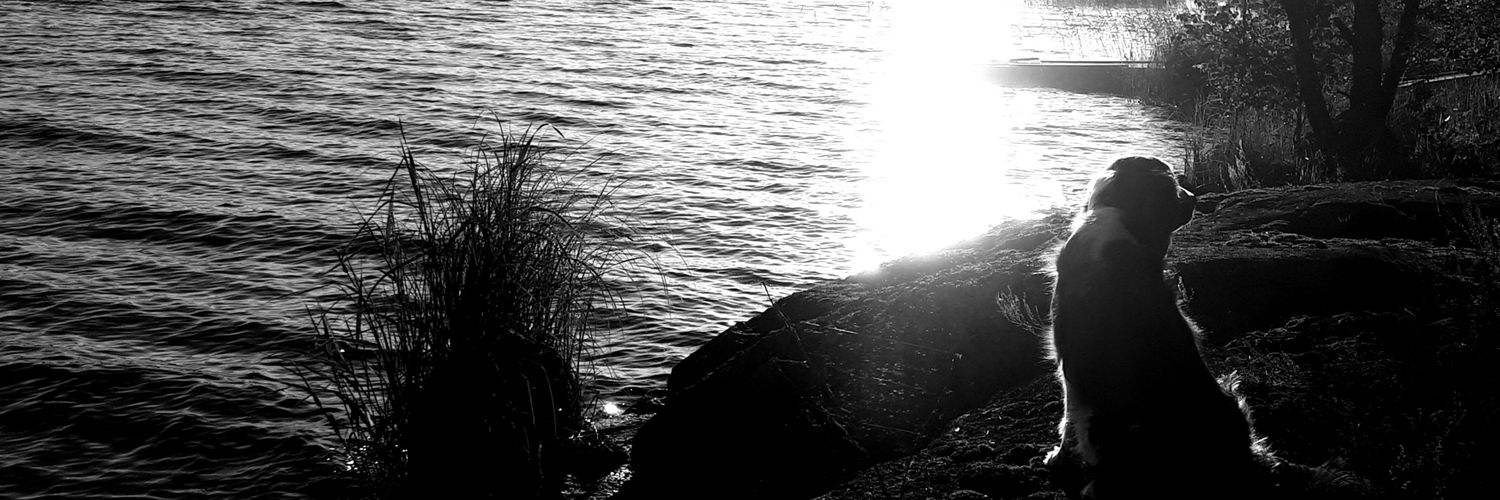 FClotkot's profile banner image