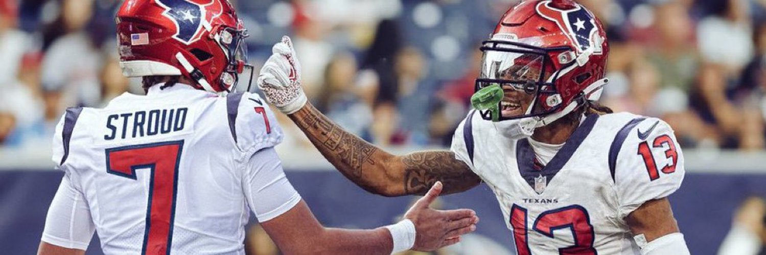 Avid Texans fan banner