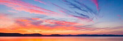 Ray｡(あいおじ) banner