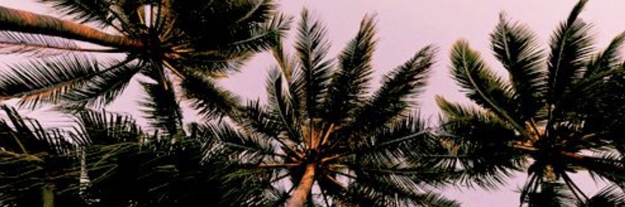milldog94's profile banner image