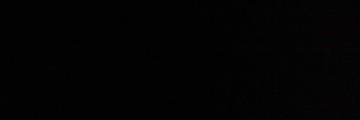 nina. banner