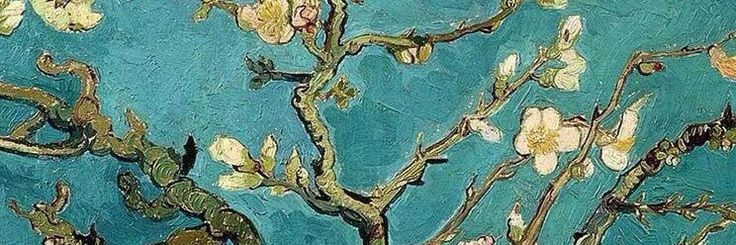 celiadsf's profile banner image