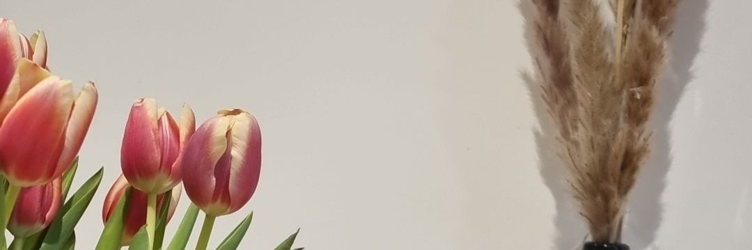 Demi! banner