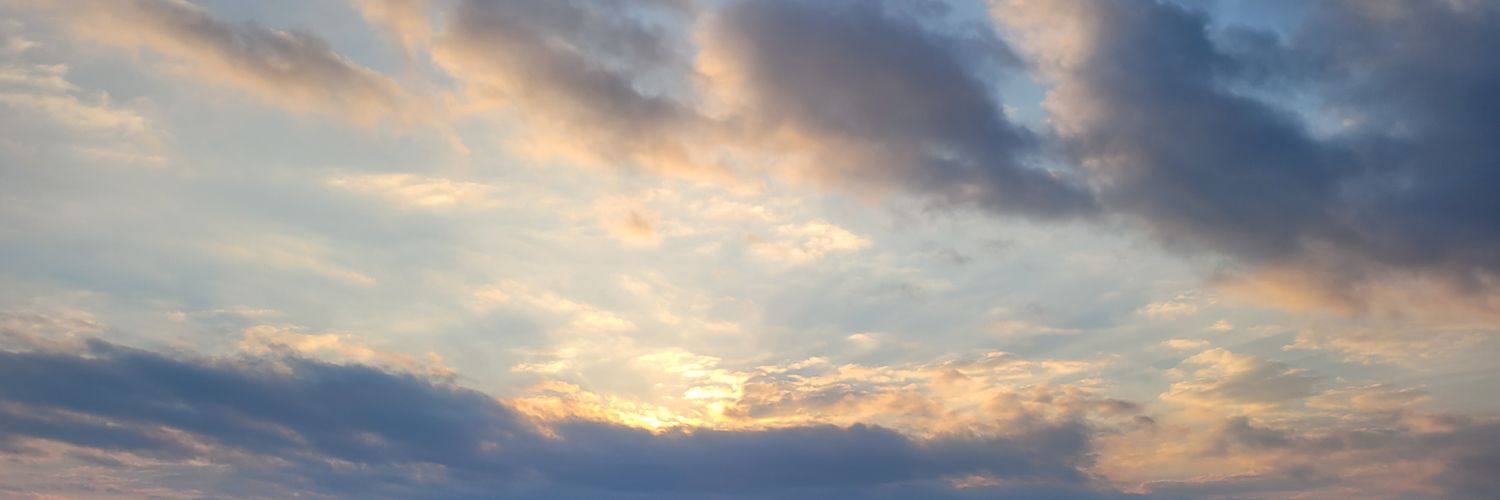 laulaa_h's profile banner image