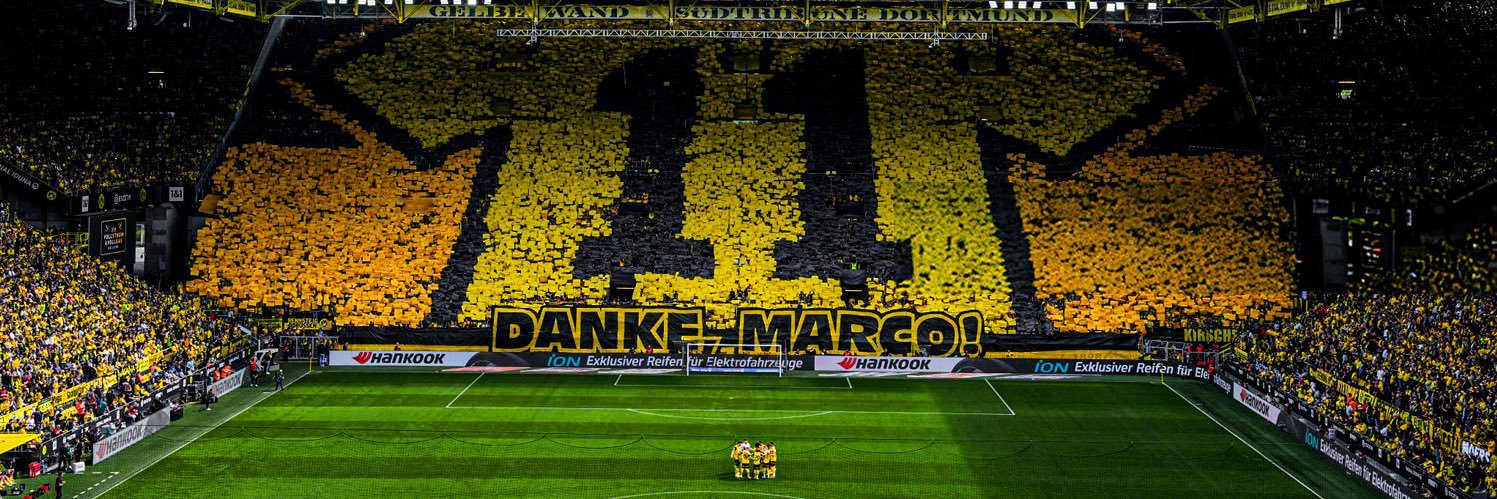 Alexander Vereecken banner