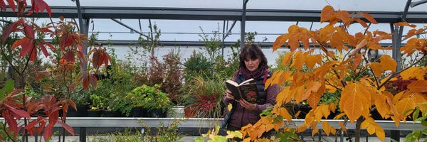 KatherineLymer Profile Banner