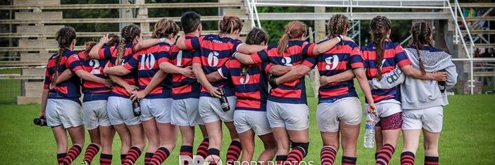 RogaFem's profile banner image
