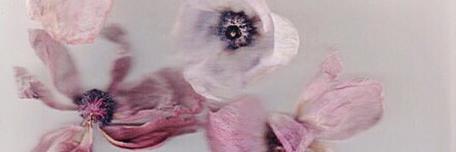 Marta_Abbott's profile banner image