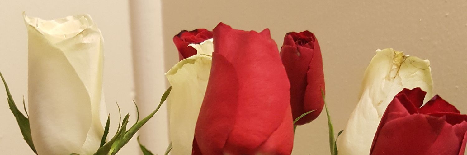 cwanjue's profile banner image