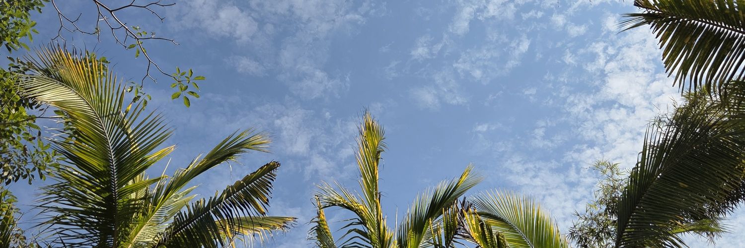 Thalía RH banner