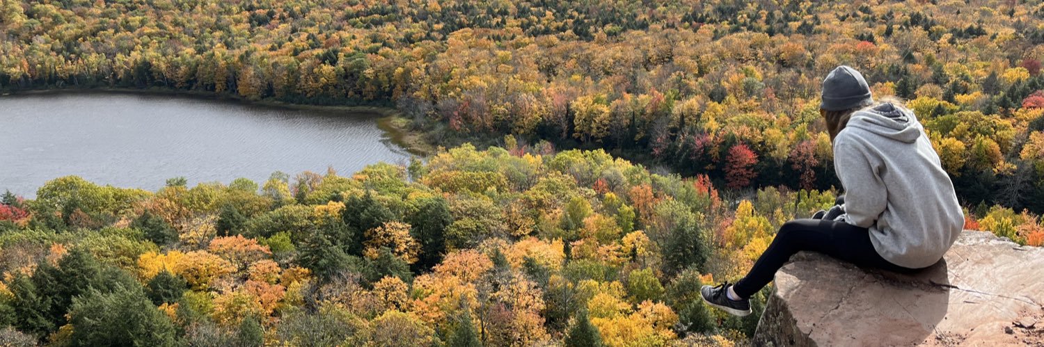 Laura Johnson banner