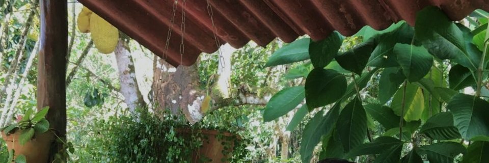 sp0ndm's profile banner image