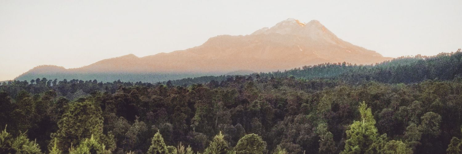 Dielopaz's profile banner image
