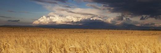 9708850oleg's profile banner image