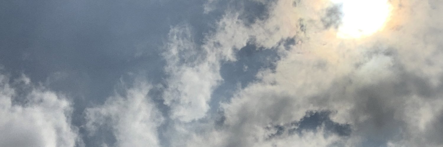 lorenzoferriby's profile banner image
