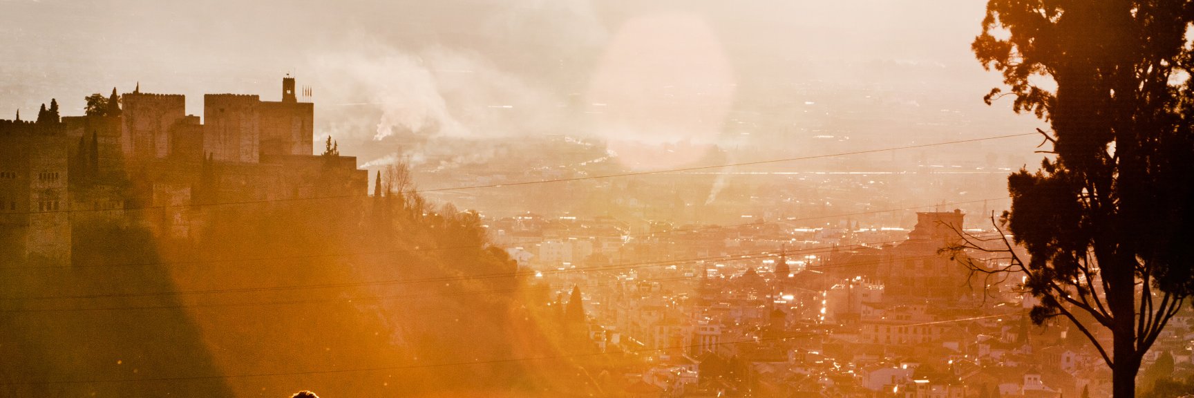 Alejandrogbu's profile banner image