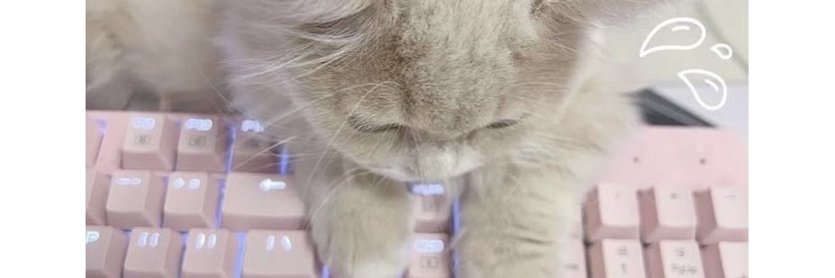 emolilyuq's profile banner image
