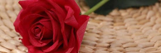 deeonyeka's profile banner image