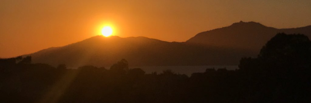 𝑨𝒏𝒏𝒆𝑴𝒂 banner