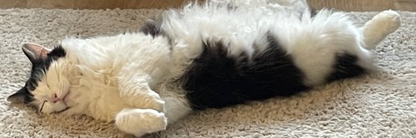 RiskyRichardH Profile Banner