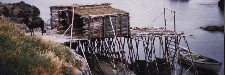 Sam Whiffen 🥱 banner