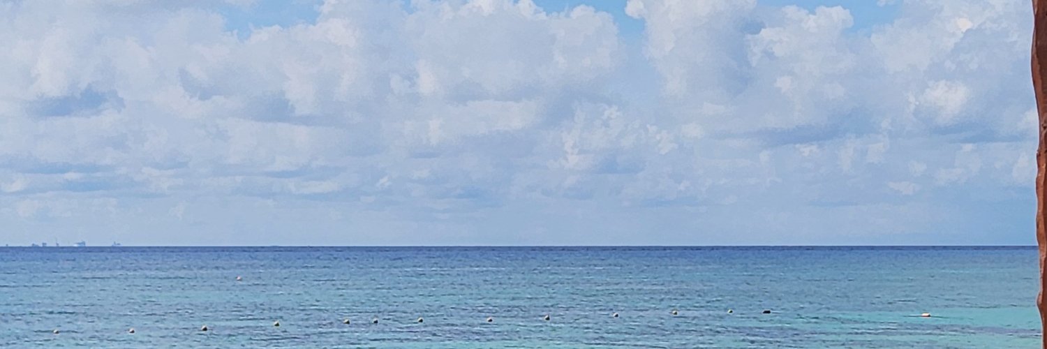 alechbl's profile banner image