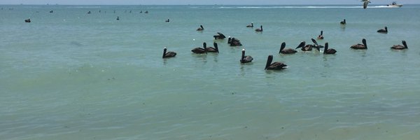 Mainheating1 Profile Banner