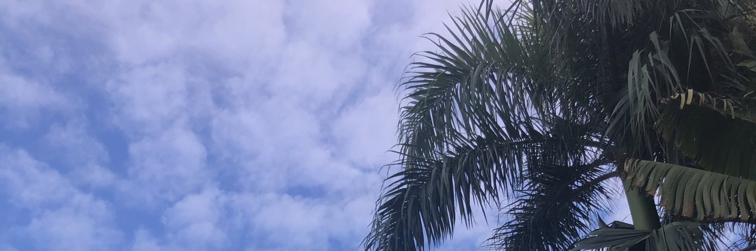 Francisco Caro banner