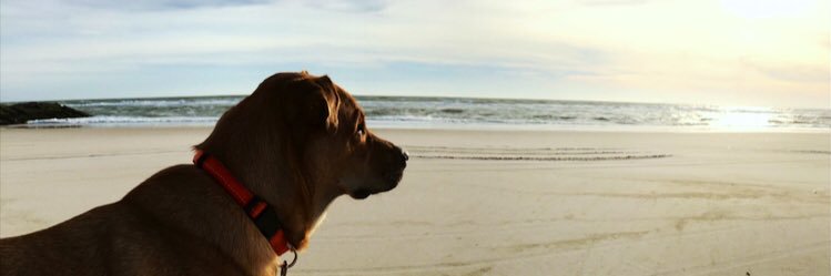 emeanzz's profile banner image