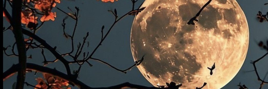 JGarcia271's profile banner image