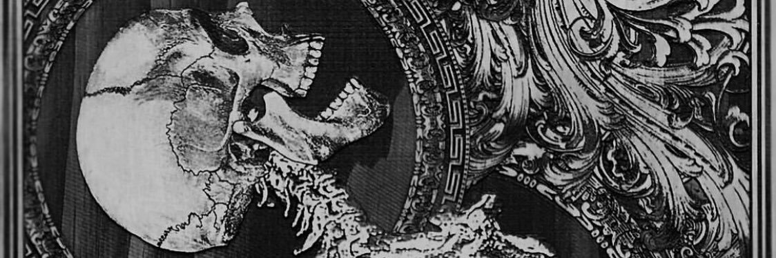 HauntedVVitch's profile banner image