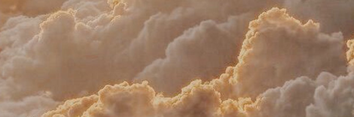 Raechelle___'s profile banner image