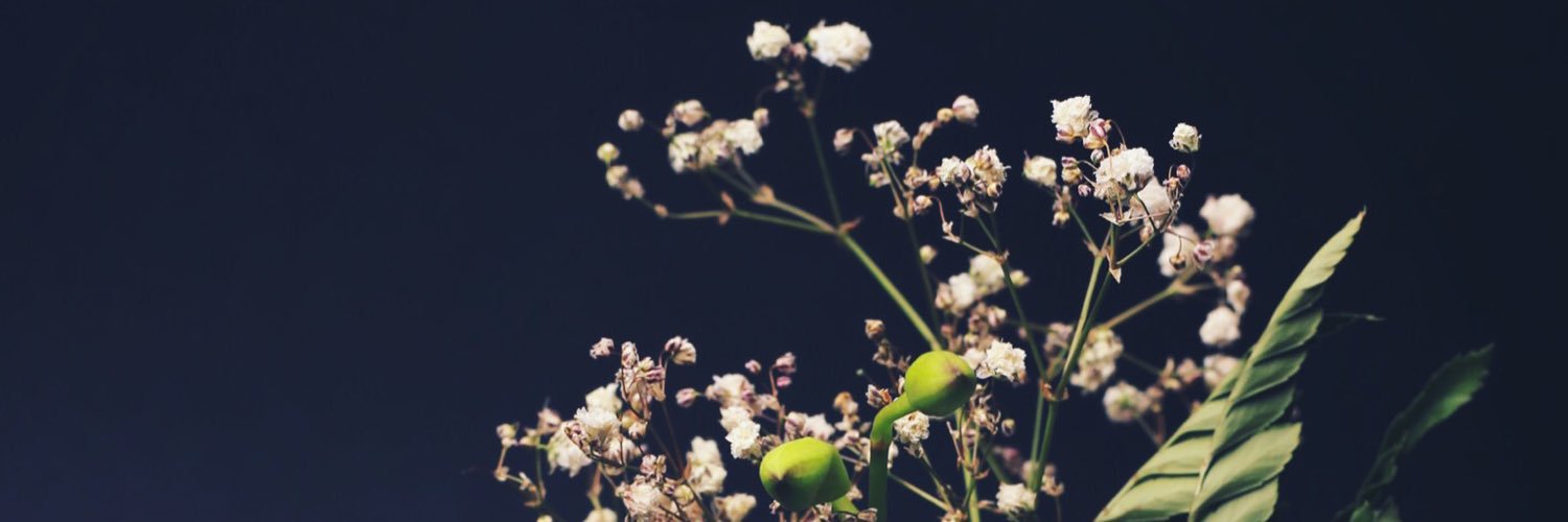 LaylaBajunaid's profile banner image