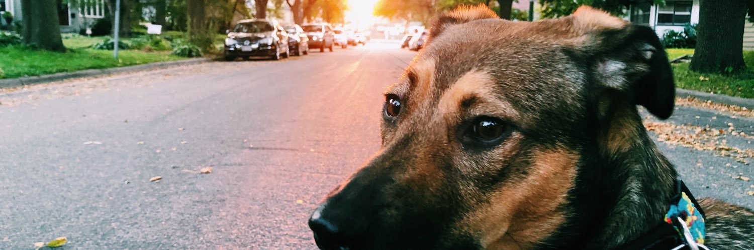 haileyrhuff's profile banner image