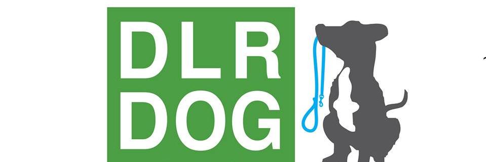 DLRDog's profile banner image