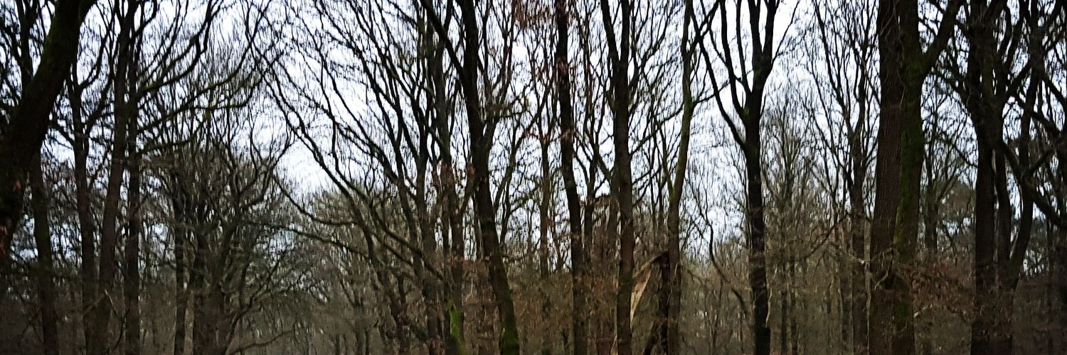 LauraJongSmit's profile banner image