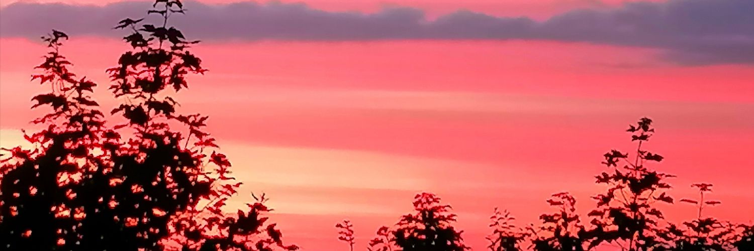 Lisa87861's profile banner image