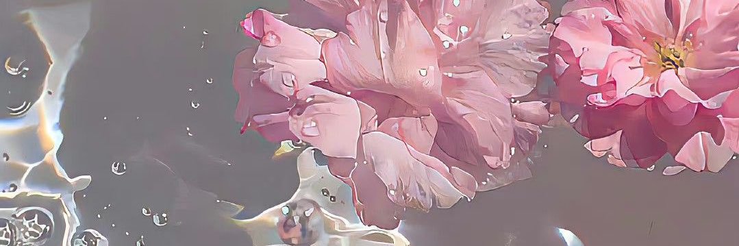 bluush's profile banner image