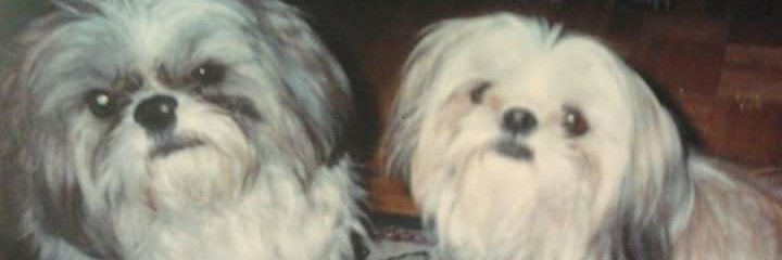 lawrence perham banner