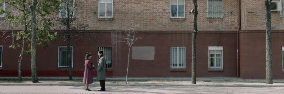 Victoria Gallardo banner