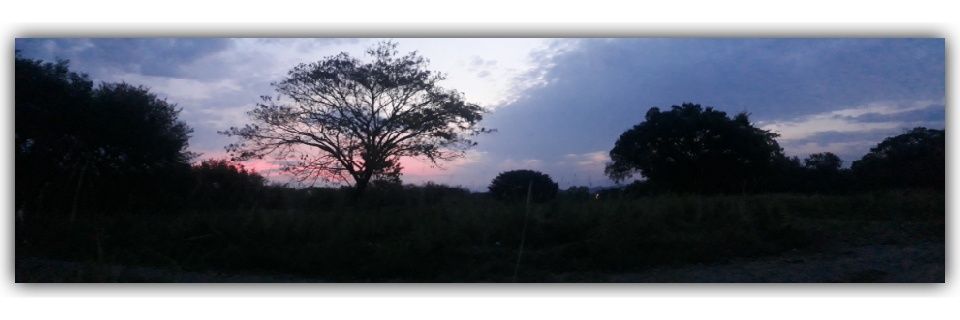 SoloTuAmor_'s profile banner image