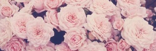 LauraBalding1's profile banner image